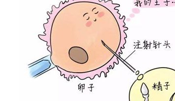 在三河市做试管婴儿长方案周期需要多久？超长方案促排流程是怎么样的？